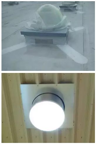 寵物食品商店需要什么樣的光源？